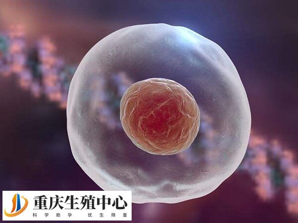 几号染色体异常最严重