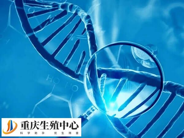 X染色体缺失可能导致生育障碍及发育异常